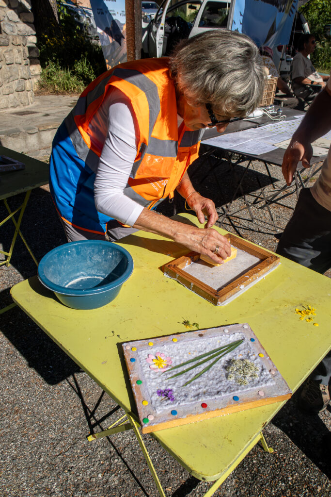 Atelier réalisation d'herbiers